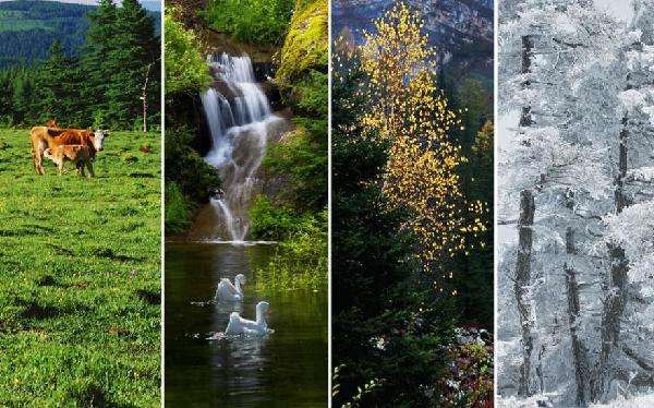 企業工服定做氣候選擇