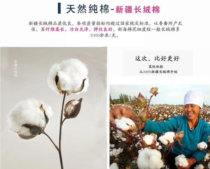 新疆長絨棉